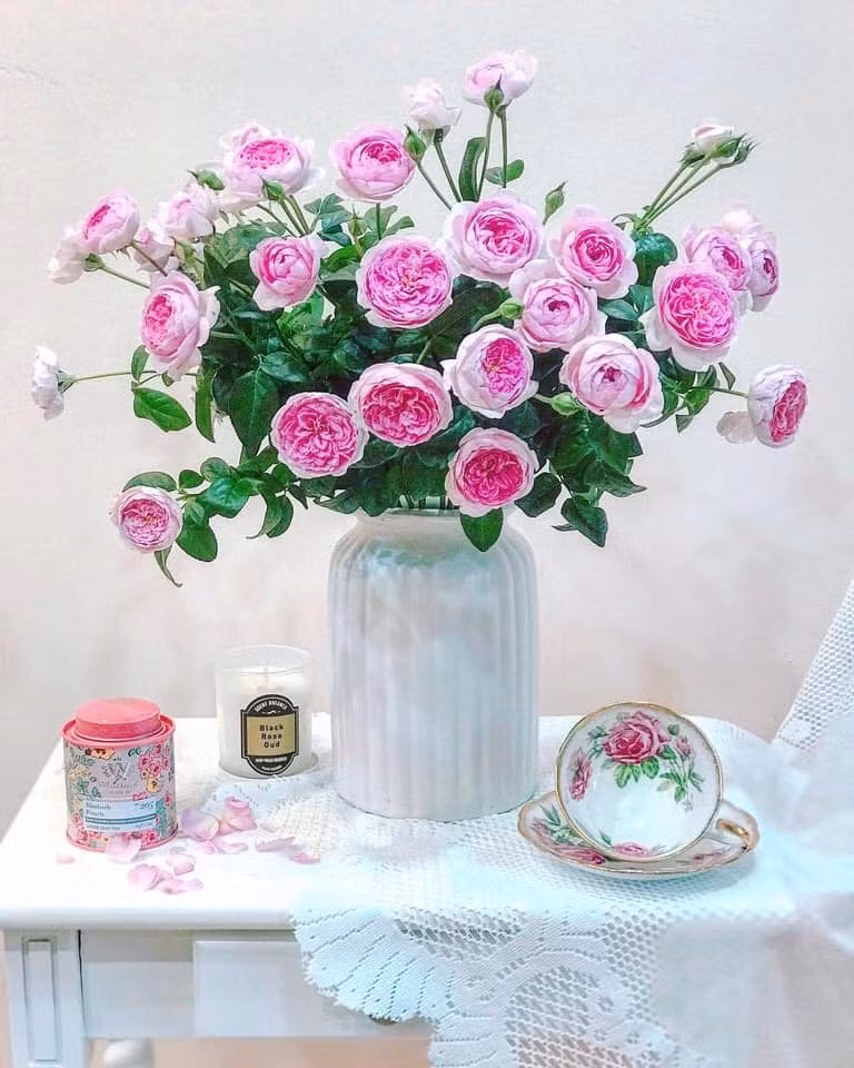 Chỉ cần cho 1 thìa này vào nước, cắm hoa hồng tươi cả tuần ảnh 4