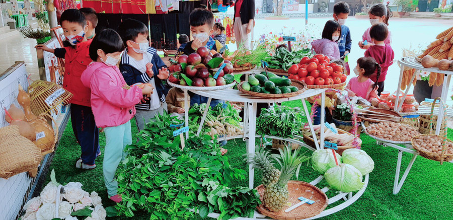 Các bé làm quen với nông sản địa phương. Các bé làm quen với nông sản địa phương.