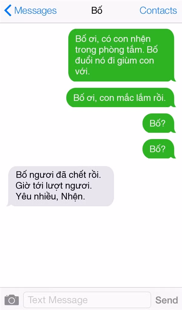 Đi khắp thế gian không ai… “troll” con bằng bố ảnh 3