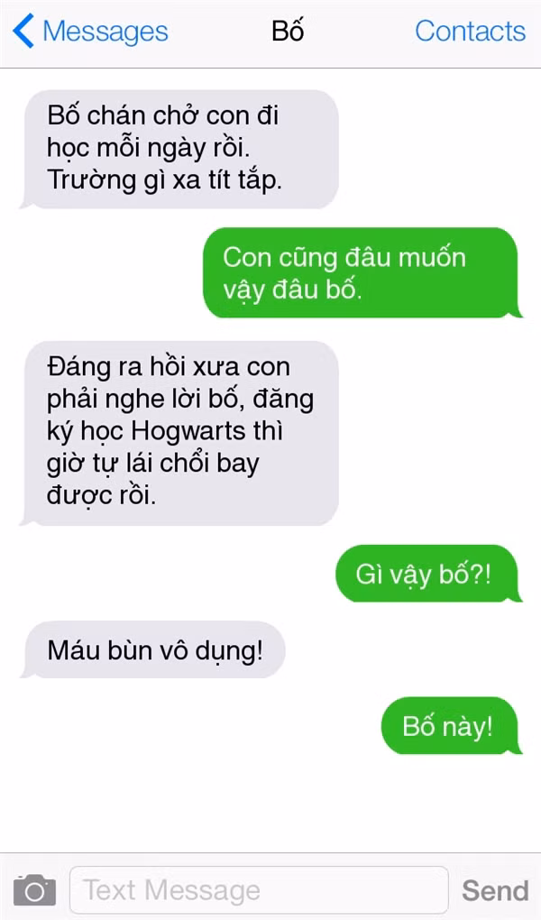 Đi khắp thế gian không ai… “troll” con bằng bố ảnh 9