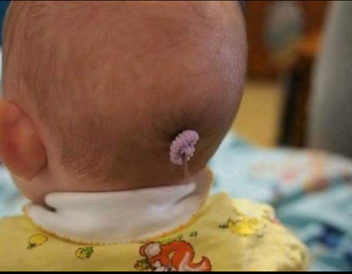 Là con gái phải xinh.