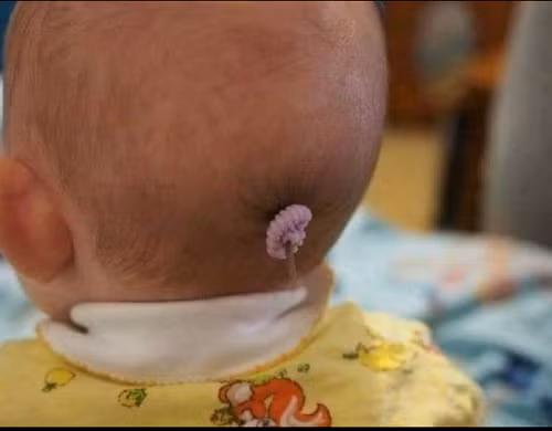 Là con gái phải xinh.