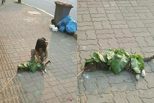 10-anh-hai-hot-nhat-facebook-trong-ngay-4