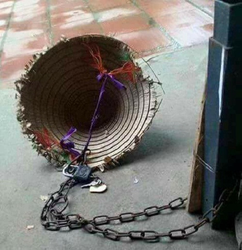 10-anh-hai-hot-nhat-facebook-trong-ngay-6