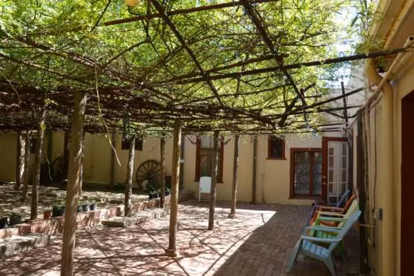 Cây hoa hồng lớn nhất thế giới, to như cây cổ thụ phủ kín gần 1000m2 đất - Ảnh 1.