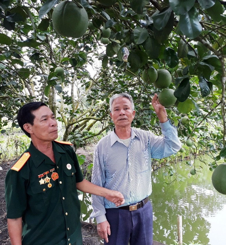 Ảnh: VGP/Trầm Hương