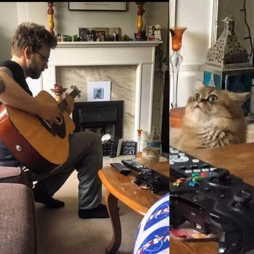 Khán giả trung thành.