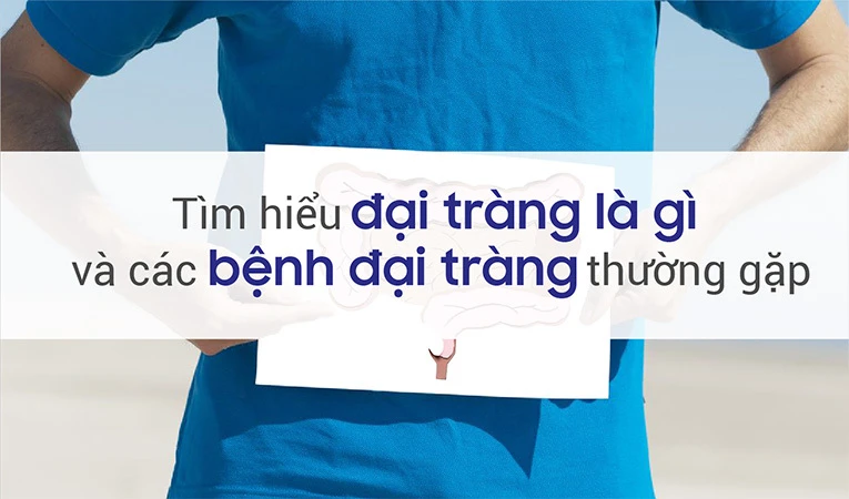 Tìm hiểu đại tràng là gì và nằm ở đâu trong cơ thể.