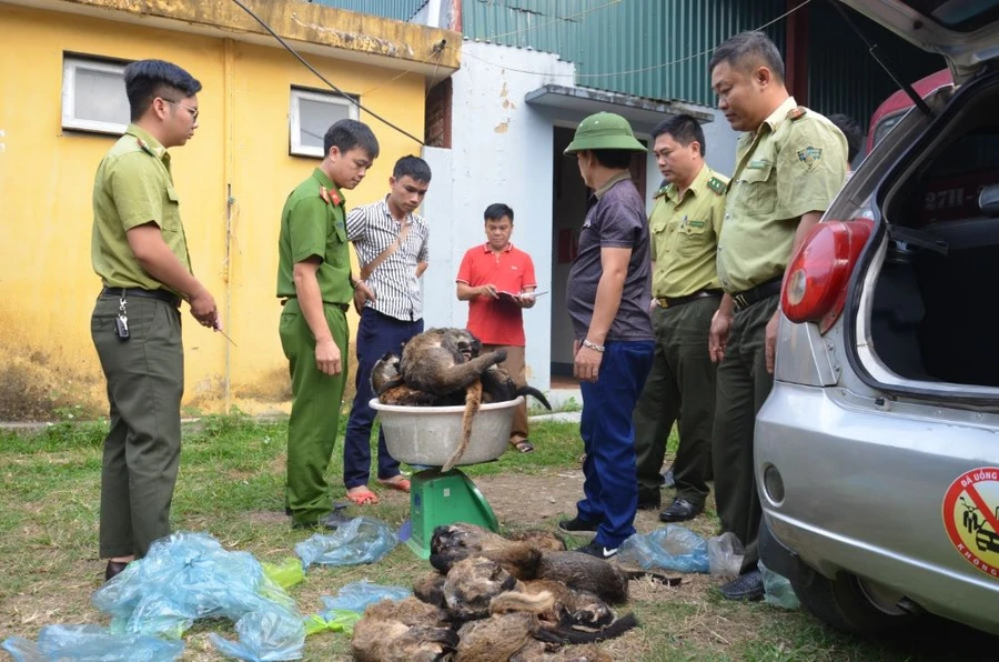 Kiểm đếm tang vật.