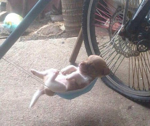 Cho em giấc ngủ yên bình. Cho em giấc ngủ yên bình.