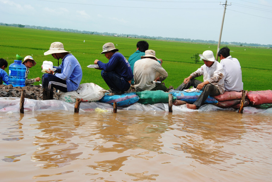 Cần Thơ thành lập Ban Chỉ huy phòng, chống thiên tai và tìm kiếm cứu nạn 
