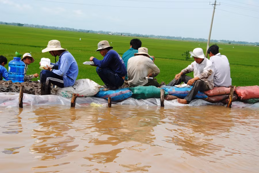 Cần Thơ thành lập Ban Chỉ huy phòng, chống thiên tai và tìm kiếm cứu nạn 