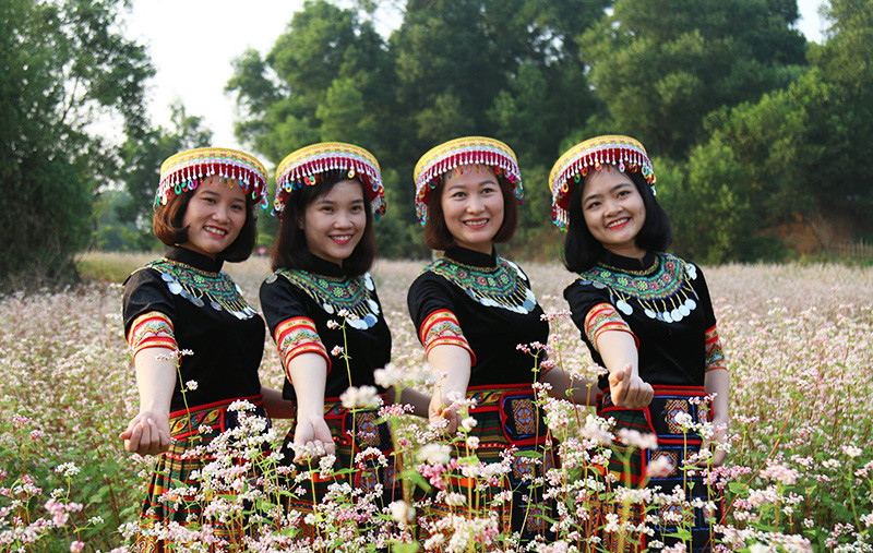 Đẹp ngỡ ngàng cánh đồng hoa tam giác mạch nở rộ tại Hà Nội ảnh 3