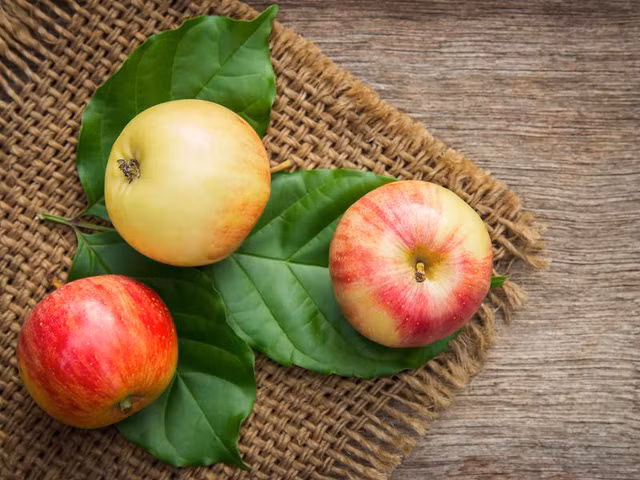 10 thực phẩm ăn khi đói tốt gấp vạn lần nhân sâm, không ít người Việt đang bỏ phí ảnh 14