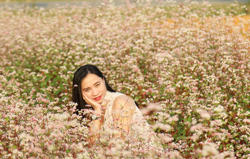 Đẹp ngỡ ngàng cánh đồng hoa tam giác mạch nở rộ tại Hà Nội ảnh 7