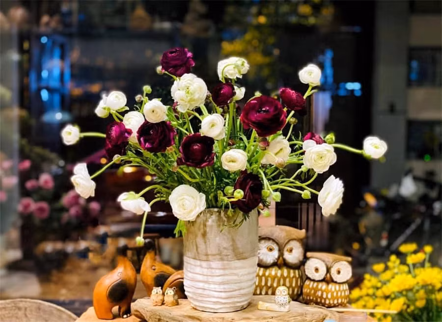 Mao Lương nên cắm bình miệng rộng chút.