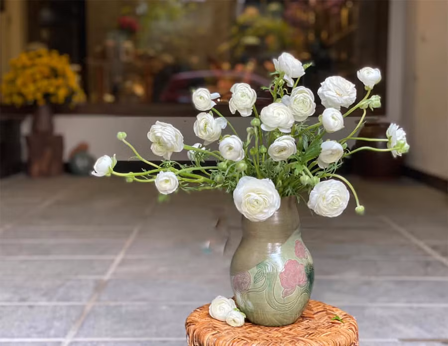 Khoe cành cong mềm mại.