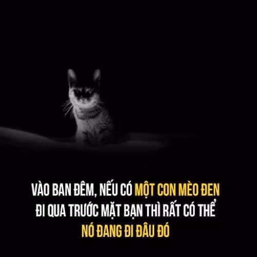 Chuyện tâm linh không đùa được đâu!