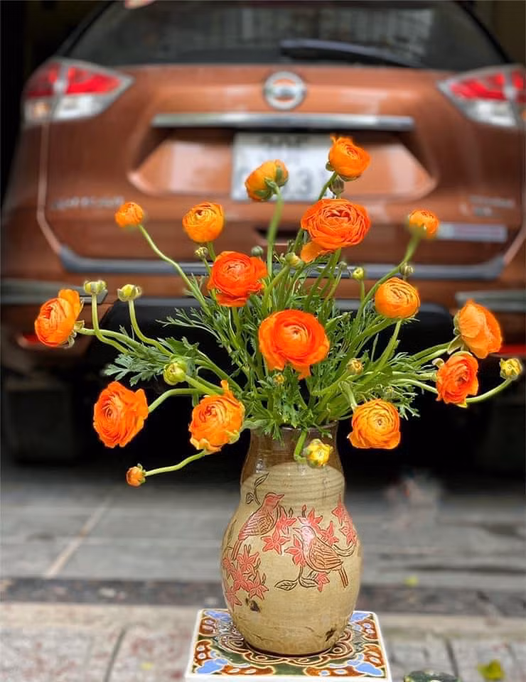 Màu bình hợp hoa.