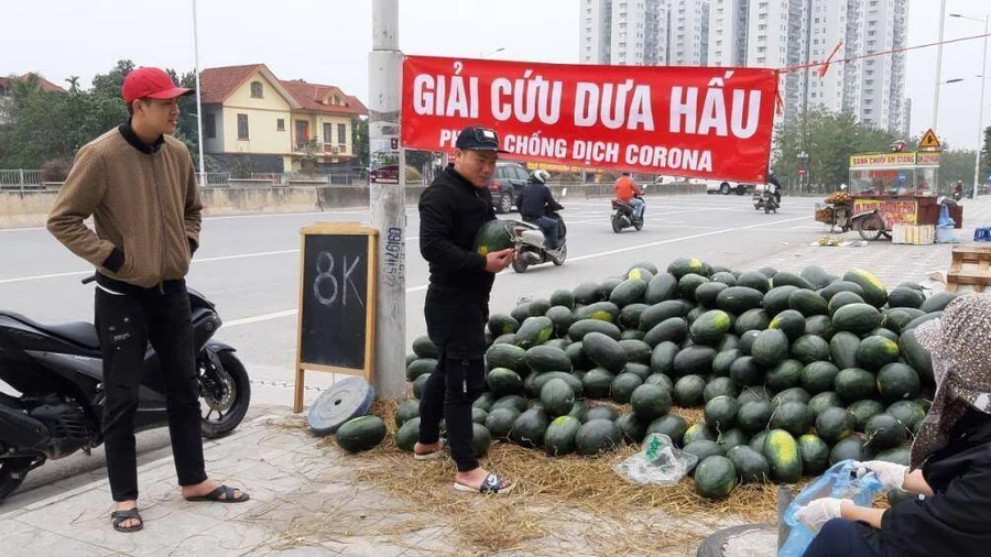 Nhiều ngành nghề đang gặp “ác mộng” vì virus Corona