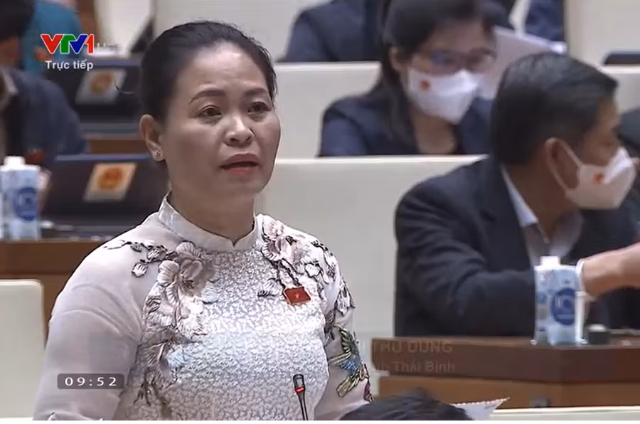 Đại biểu Nguyễn Thu Dung đặt câu hỏi. Ảnh chụp màn hình.