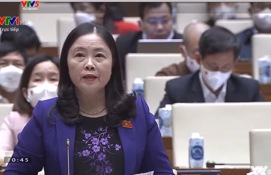 Đại biểu Đoàn Thị Hảo đặt câu hỏi. Ảnh chụp màn hình.