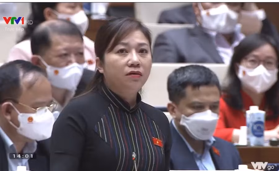 Đại biểu Phúc Bình NIÊ KDăm nêu vấn đề liên quan đến giáo dục mầm non. Ảnh chụp màn hình.