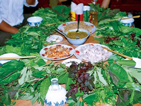 dac san lam tu 60 loai la "co 1 khong 2" o tay nguyen - 1
