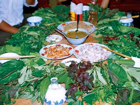 dac san lam tu 60 loai la "co 1 khong 2" o tay nguyen - 1