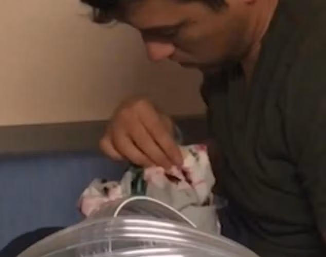 Ông bố mệt mỏi đến nỗi nựng chiếc áo choàng vì tưởng là con mình