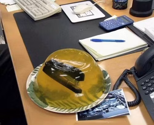 Thành quả của một ‘đầu bếp’ đãng trí. Thành quả của một đầu bếp đãng trí.