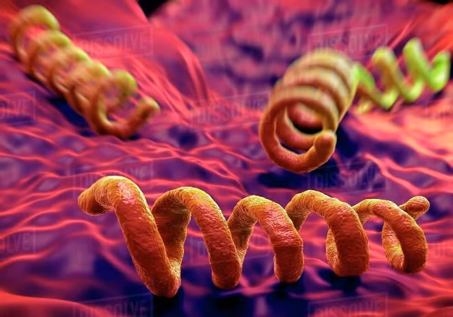 Nhiều trẻ mắc bệnh giang mai bẩm sinh do lây từ mẹ