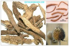 Tục đoạn chỉ huyết, giảm đau