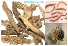 Tục đoạn chỉ huyết, giảm đau