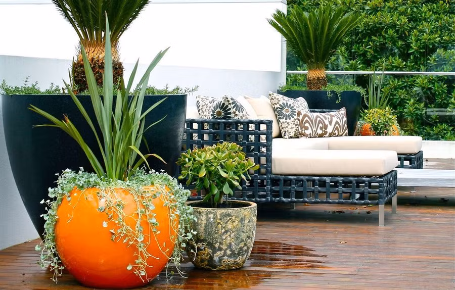 Nữ đại gia tuổi 50 chết lặng gặp chồng trẻ ở bể bơi