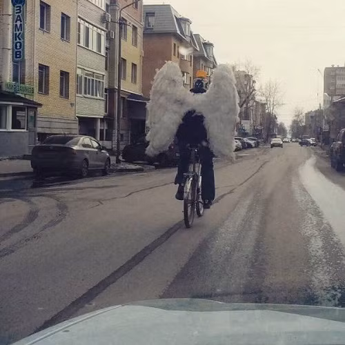 Cánh chỉ mang tính chất minh họa. Cánh chỉ mang tính chất minh họa.