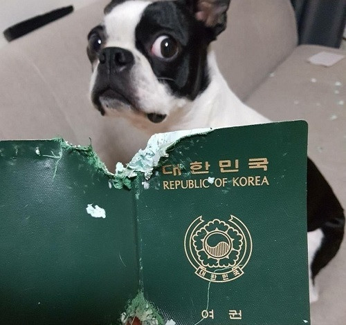 Muốn bỏ rơi anh đâu phải chuyện dễ dàng. Muốn bỏ rơi anh đâu phải chuyện dễ dàng.