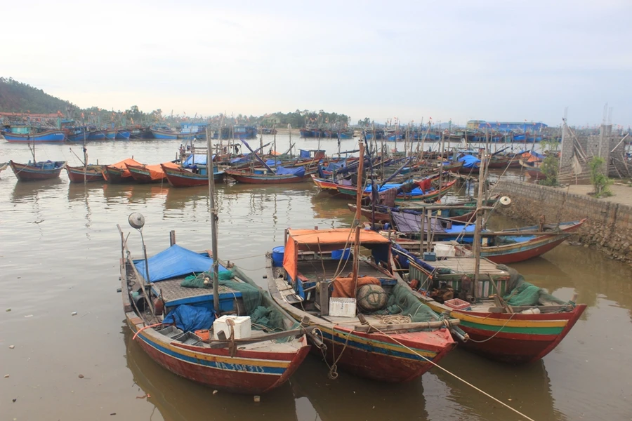 Tàu thuyền trở về nơi tránh trú bão an toàn