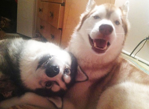 Em tạo dáng đẹp rồi, mau chụp đi. cuoi-te-ghe-18-8-thoi-trang-cua-nguoi-thach-thuc-moi-trao-luu-2-5