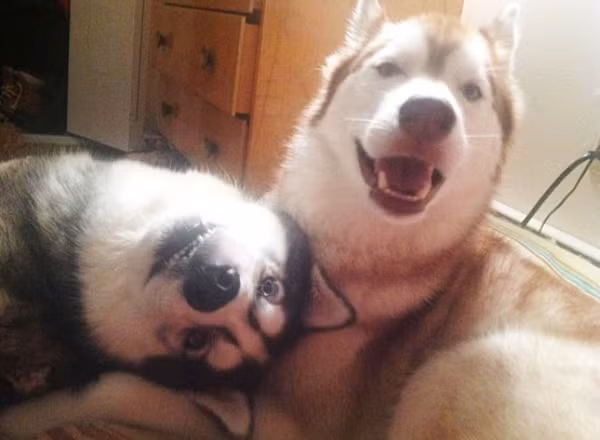 cuoi-te-ghe-18-8-thoi-trang-cua-nguoi-thach-thuc-moi-trao-luu-2-5