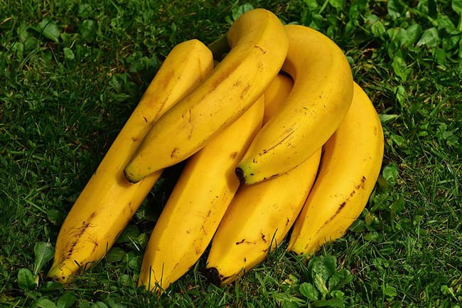 Không phải cà phê, 14 thực phẩm lành mạnh này sẽ đánh bại cơn buồn ngủ ngay hình ảnh 1 khong phai ca phe, 14 thuc pham lanh manh nay se danh bai con buon ngu ngay hinh anh 1