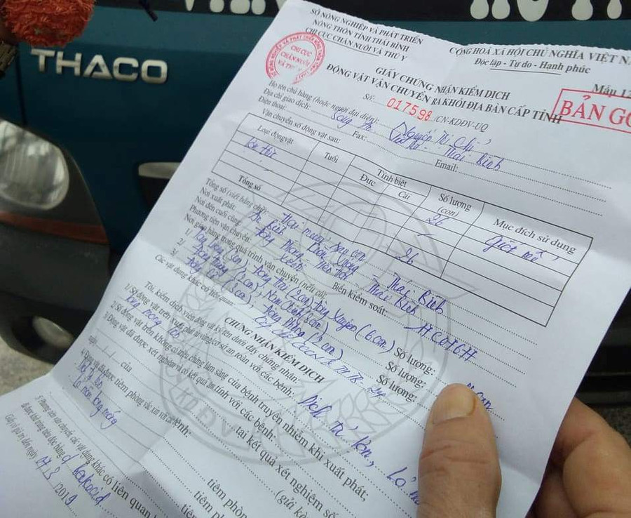 Thái Bình kiểm soát chặt chẽ dịch tả lợn châu Phi (Ảnh: gdtd.vn) Thái Bình kiểm soát chặt chẽ dịch tả lợn châu Phi (Ảnh: gdtd.vn)