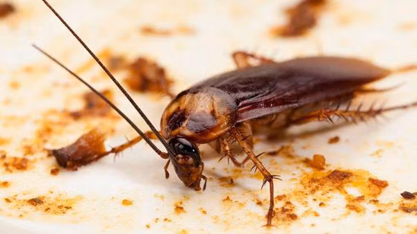 dung dep dap gian, thoi quen don gian co the “hai chet” ca gia dinh ban - 1