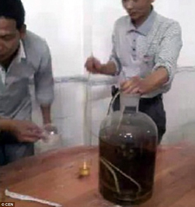 Ám ảnh mốt rượu ngâm “chôn sống” cú mèo của người TQ ảnh 4 ... tuy nhiên giáo sư Đại học Y học Cổ truyền Thành Đô cho biết rượu cú mèo không có tác dụng với xương khớp như mọi người vẫn nghĩ.
