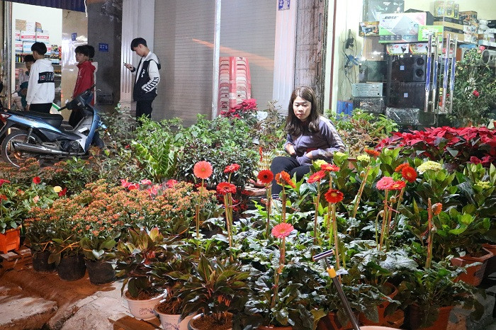 Nhiều người ngạc nhiên khi biết những chậu hoa này được đưa về đây từ Hà Nội, đến những chậu hoa nhỏ chỉ cao chừng 20cm cũng vượt đường xa về với chợ Viềng đủ để thấy được sức hút của phiên chợ độc đáo này.