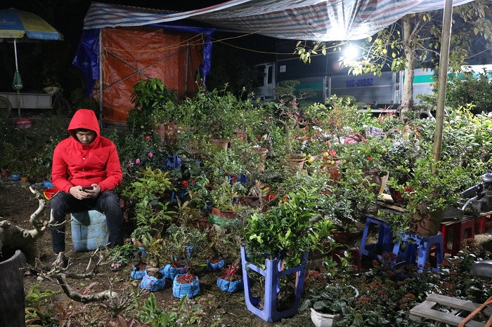 Đất có gì thì chợ Viềng có thứ đó bởi vậy mà khu chợ bày bán các loại hoa cây kiểng cũng đông vui, tấp nập không kém. Từ những cành hoa nhỏ được chiết trước Tết vừa kịp ra rễ, cho tới những cây cảnh lớn 7, 8 người khiêng đều tập trung ở đây đủ cả. Người ta quan niệm, mua một cây cảnh đầu năm với nhiều mầm xanh là để rước lộc vào nhà!