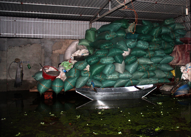 Nhiều bao thóc không kịp chạy lũ đã bị ướt hết. Ảnh: Thanh niên Nhiều bao thóc không kịp chạy lũ đã bị ướt hết. Ảnh: Thanh niên