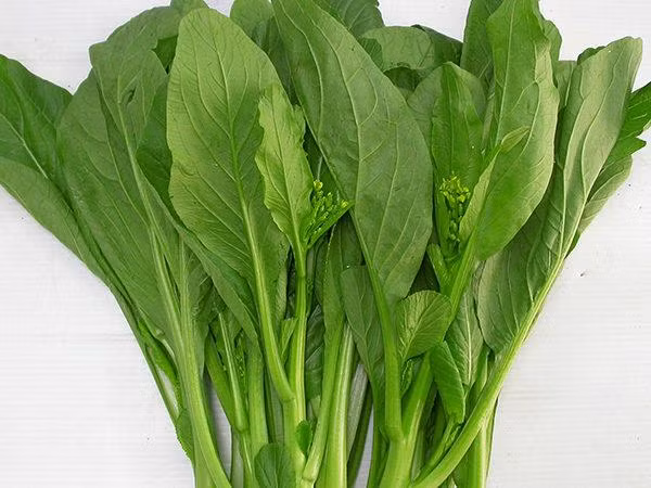 dau da day nen an gi? goi y nhung thuc pham giup giam con dau - 6