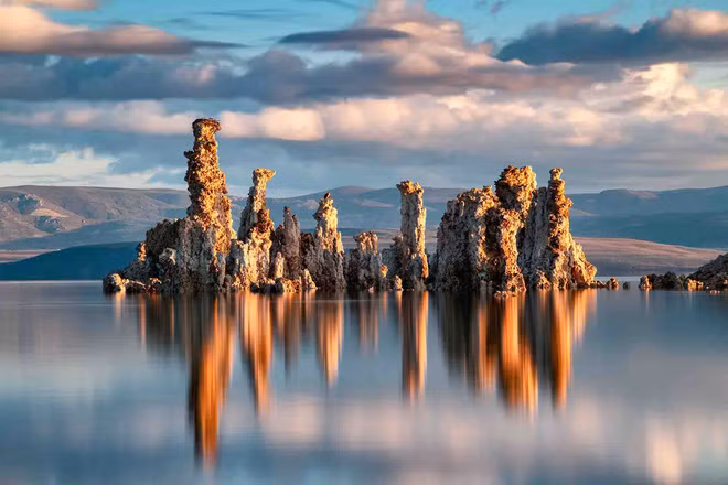 Phát hiện sinh vật sở hữu tới 3 giới tính khác nhau, sống trong môi trường nhiễm asen cao hơn 500 lần ngưỡng chịu đựng của con người - Ảnh 2.