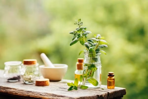 thu bot vut di vua rac vao chuot da so khiep via, 3 doi cung khong dam ben mang - 4